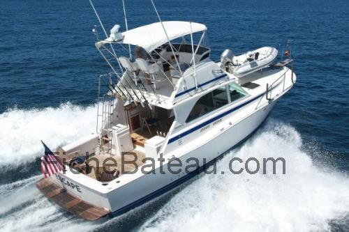 Bertram 38 fiche technique et avis